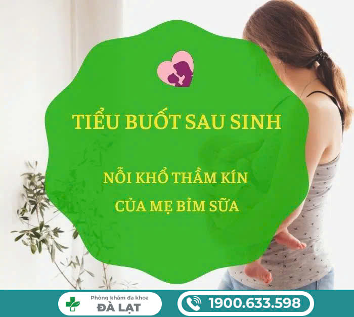 Hình ảnh minh họa